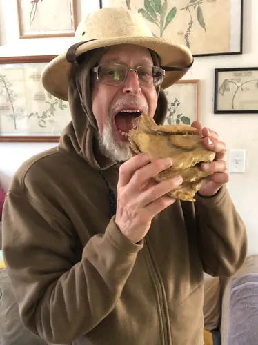 Fred Elser First Sunday Science: Foraging with the "Wildman"